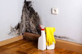 Best Residential Mold Inspection & Testing  in Forest Heights, MD